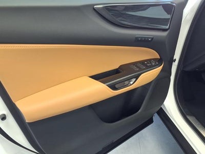 2025 Lexus NX NX 250 Premium