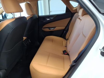 2025 Lexus NX NX 250 Premium