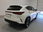 2025 Lexus NX NX 250 Premium