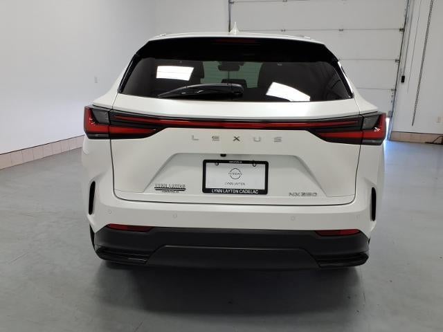 2025 Lexus NX NX 250 Premium