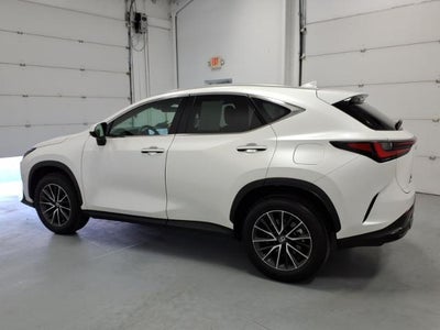 2025 Lexus NX NX 250 Premium