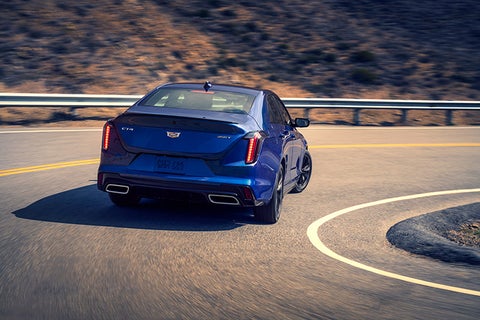 Lynn Layton Cadillac